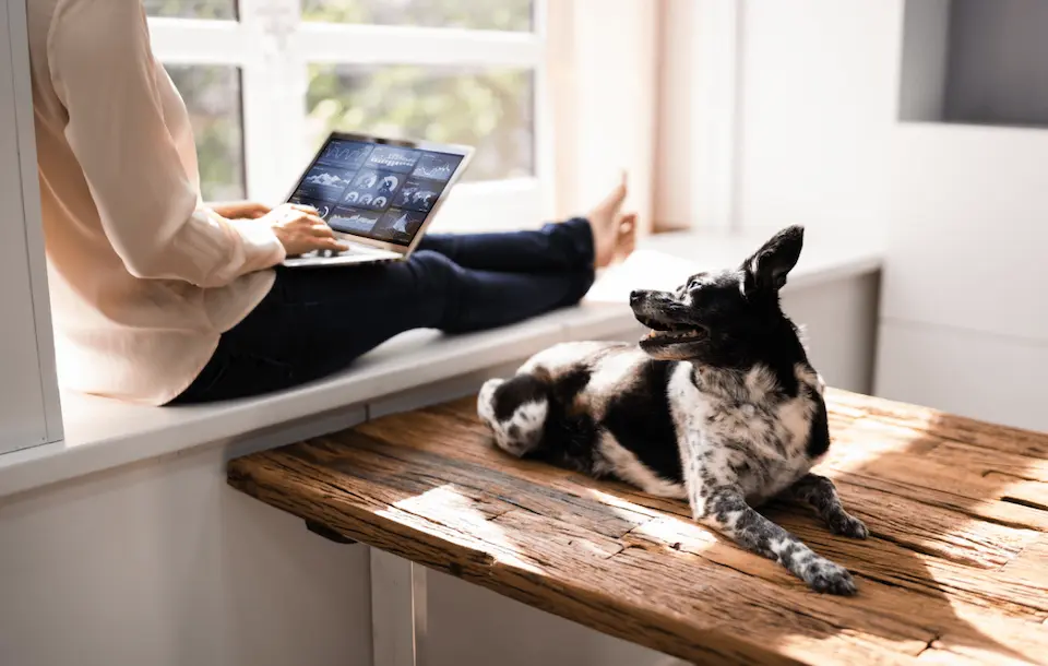 lady at laptop with dog